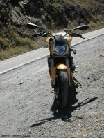 DSCN4354