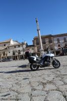 Versys1000_02