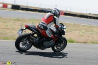 Brutale_1090_10
