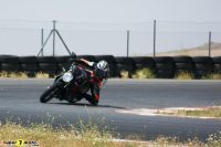 Brutale_1090_11