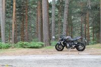 Brutale675_017